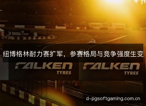 纽博格林耐力赛扩军，参赛格局与竞争强度生变